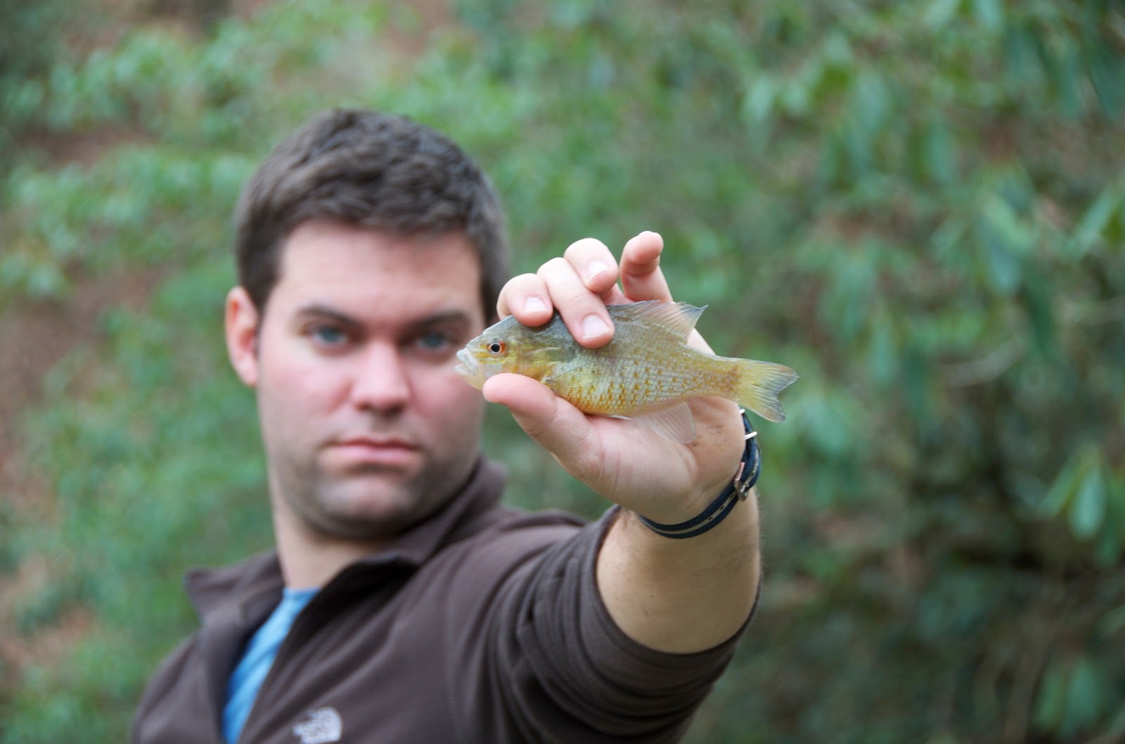 IRON & TWINE Ellijay,