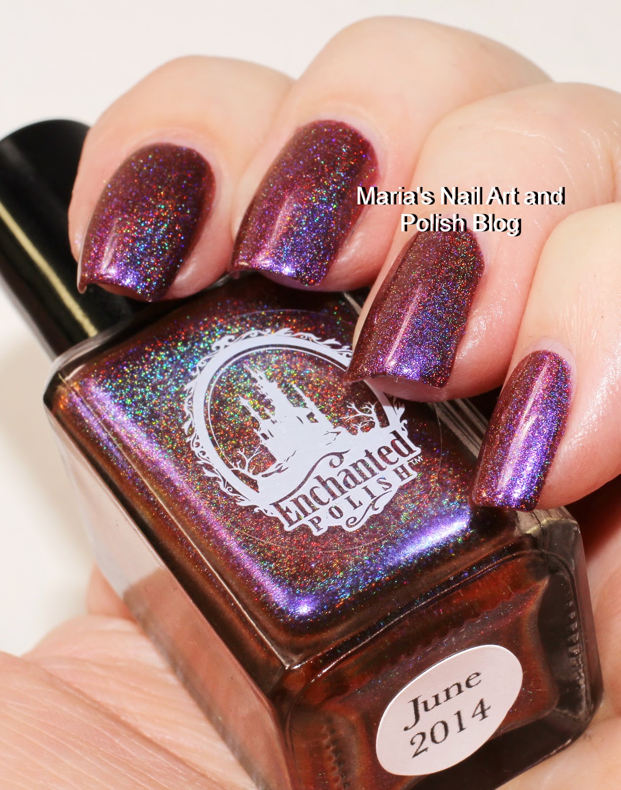 Marias Nail Art and Polish Blog: Enchanted Polish June 2014 swatches