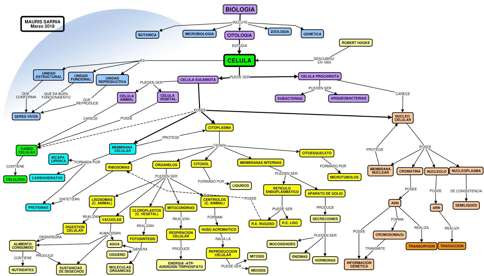 Mapa conceptual de biologia 7º