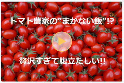超濃厚トマトカレー「札幌蕃茄～sapporobanka～」リリースしました！