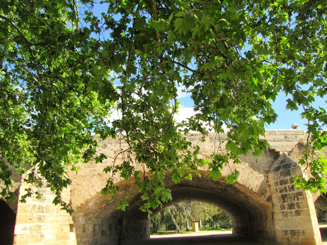 Puente del Real desde el viejo cauce - Paseos Fotográficos