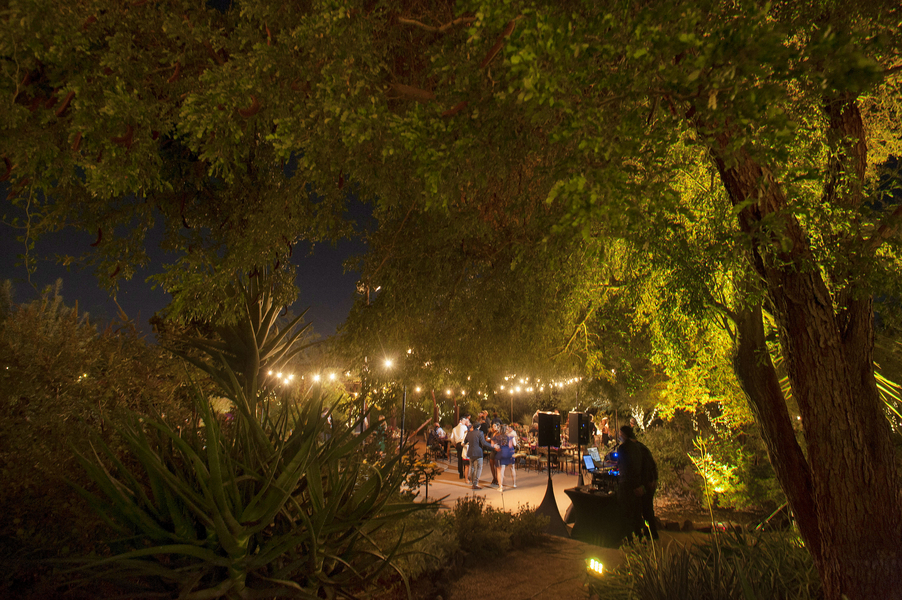 Purple Desert Botanical Garden Wedding