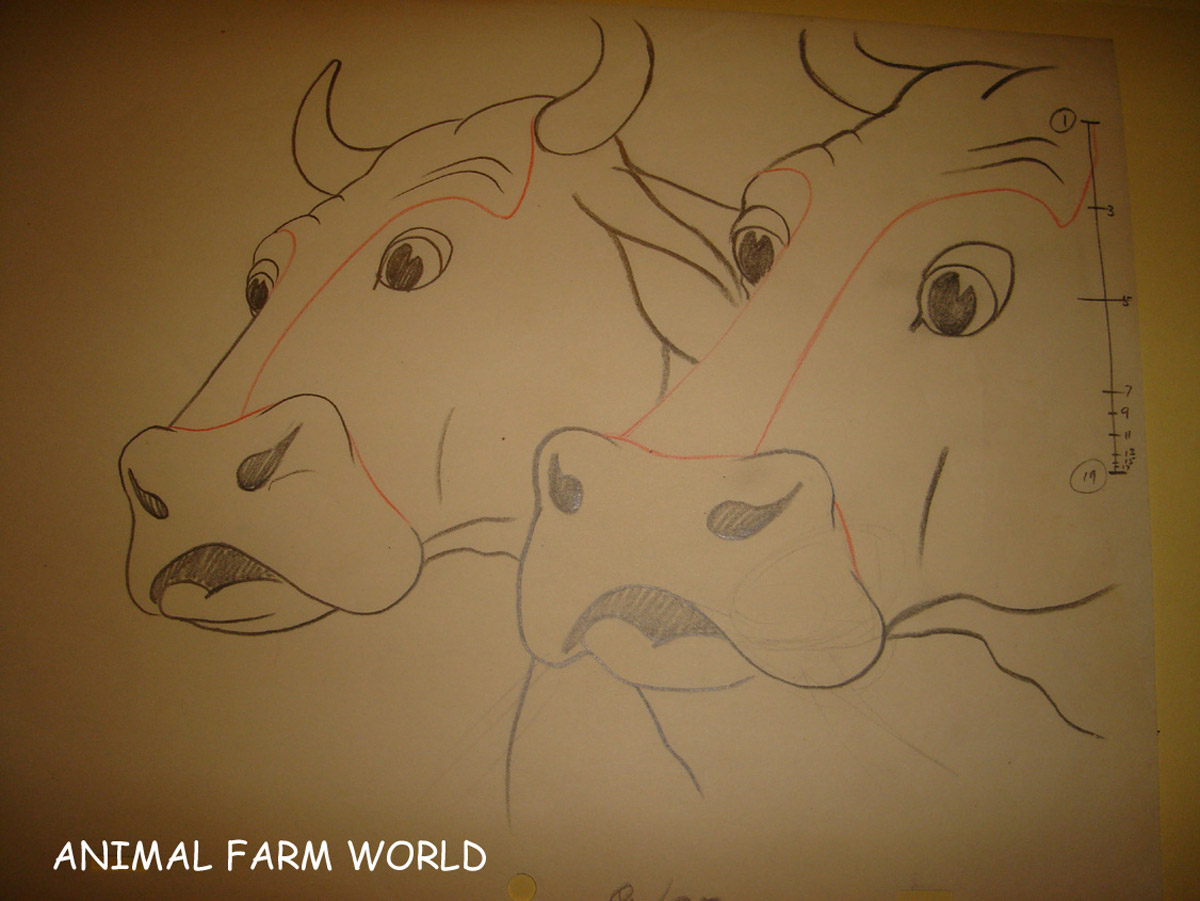 It's just a picture of Invaluable Drawing Of Farm Animals It is a graphic of Invaluable Drawing Of Farm Animals