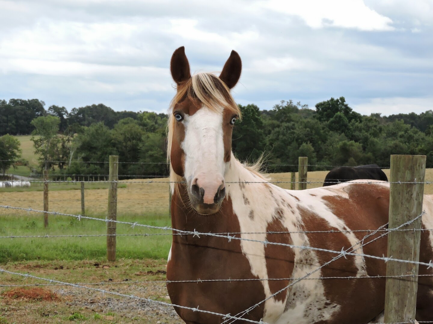 The Rock Ranch Review Recap #TheRockRanch