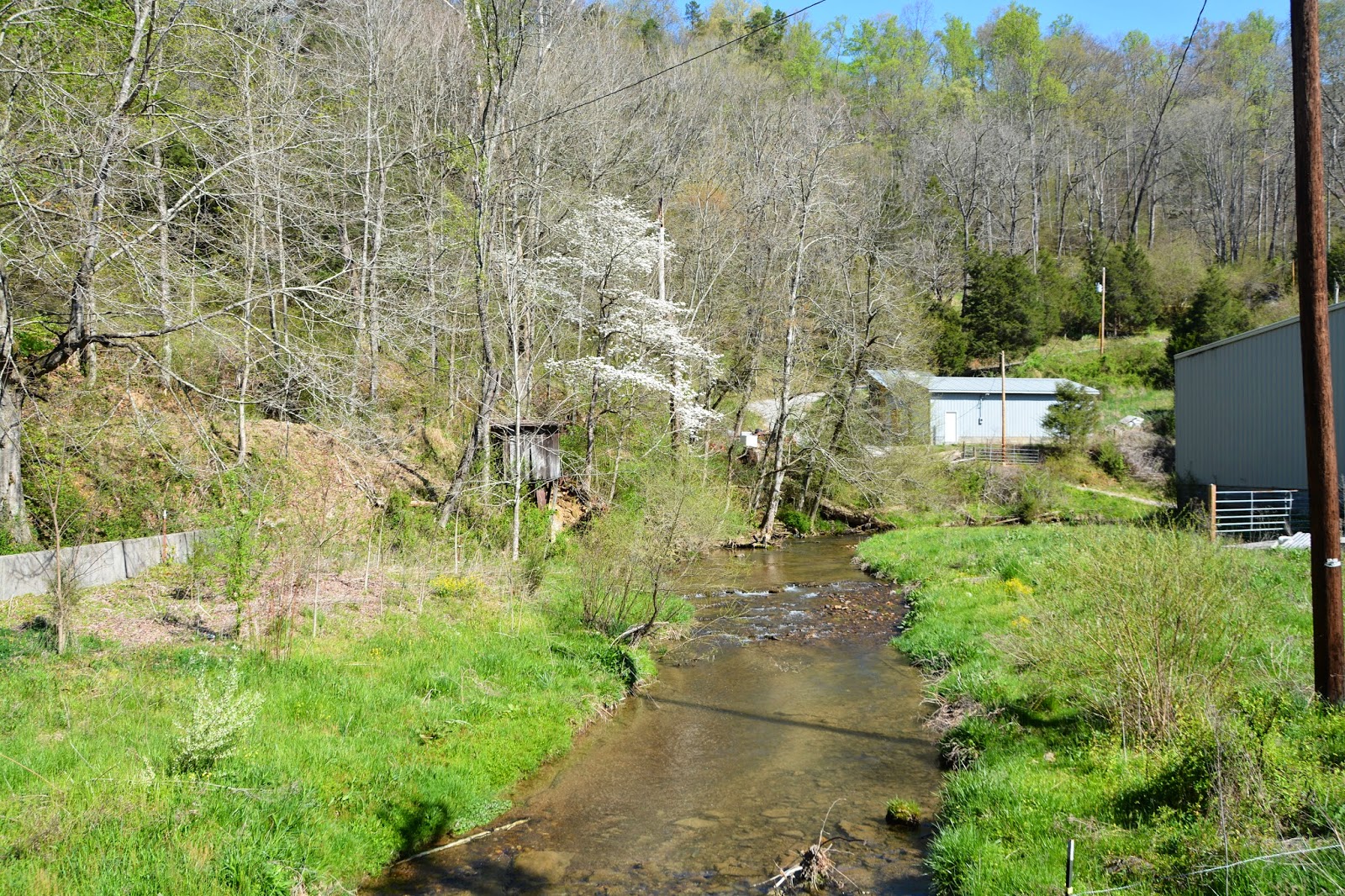 Standing Alone on the Johnson's Mill, New Tazewell, Tennessee