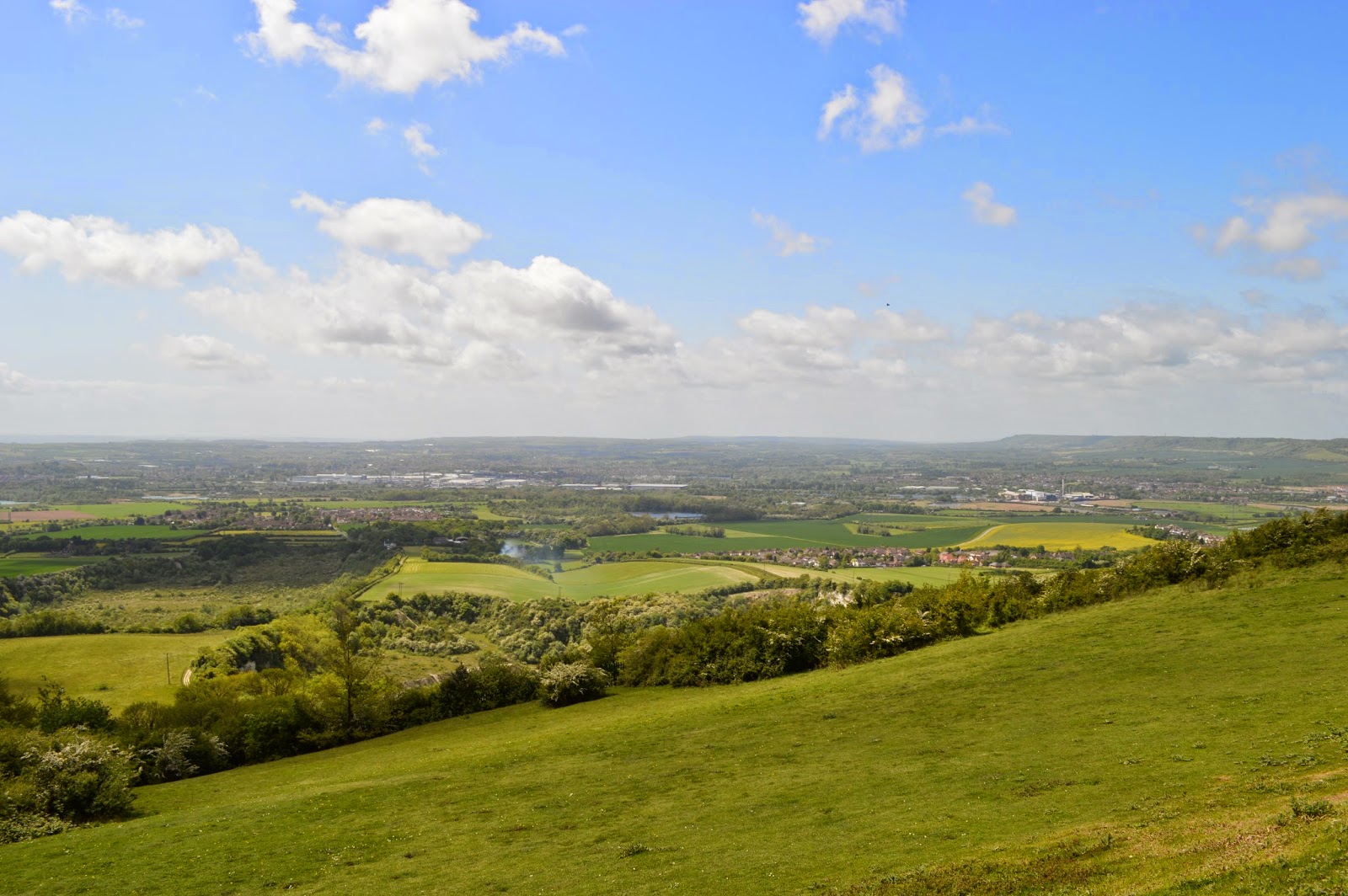 Random encounters with the unusual Blue Bell Hill
