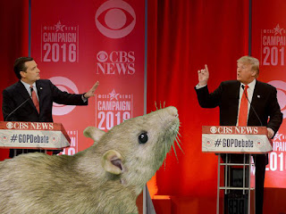 rat at presidential debate