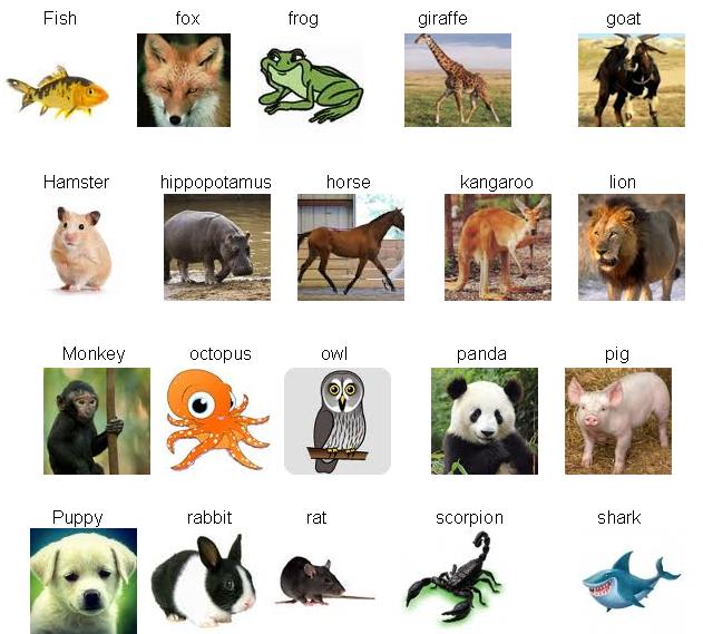 animals and their young clipart - photo #45