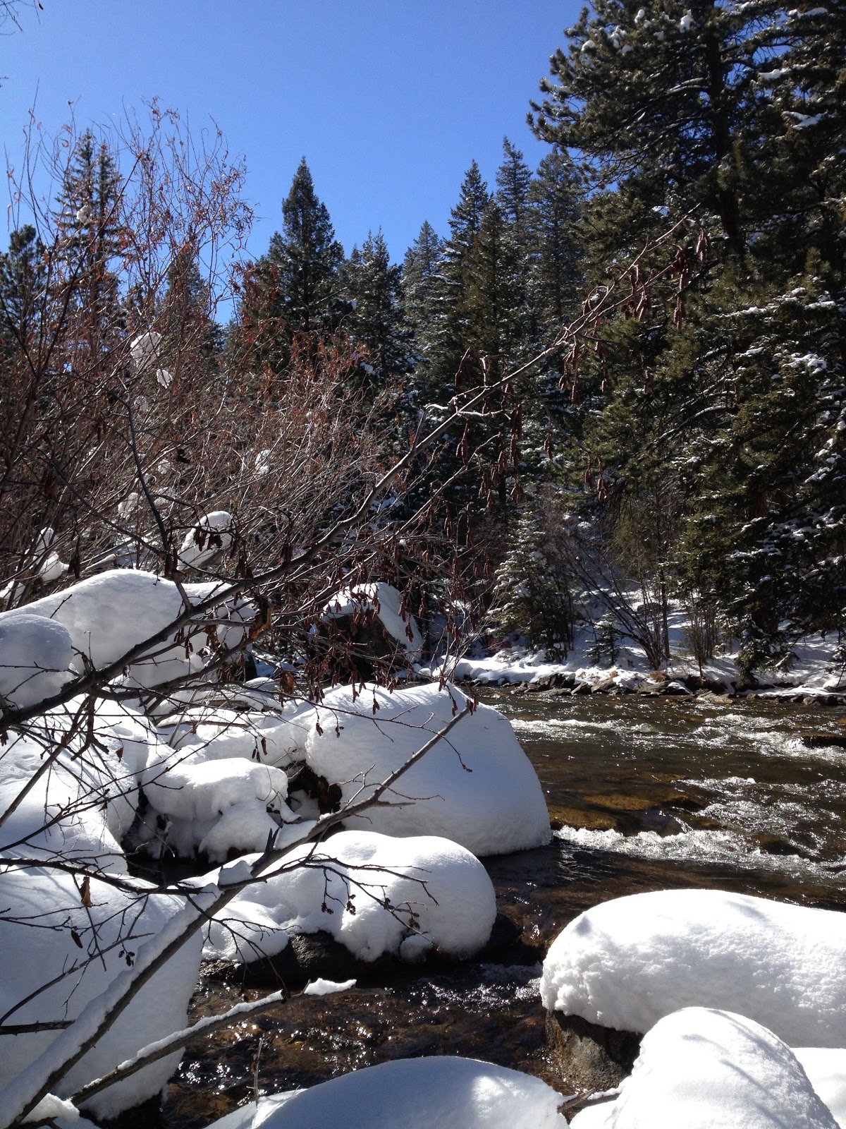 Fish B4U Fly Winter Fishing in Colorado