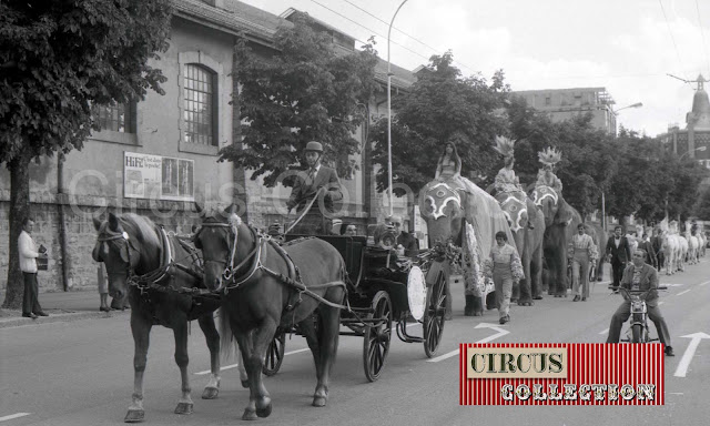 vue de la grande cavalcade des 175 ans