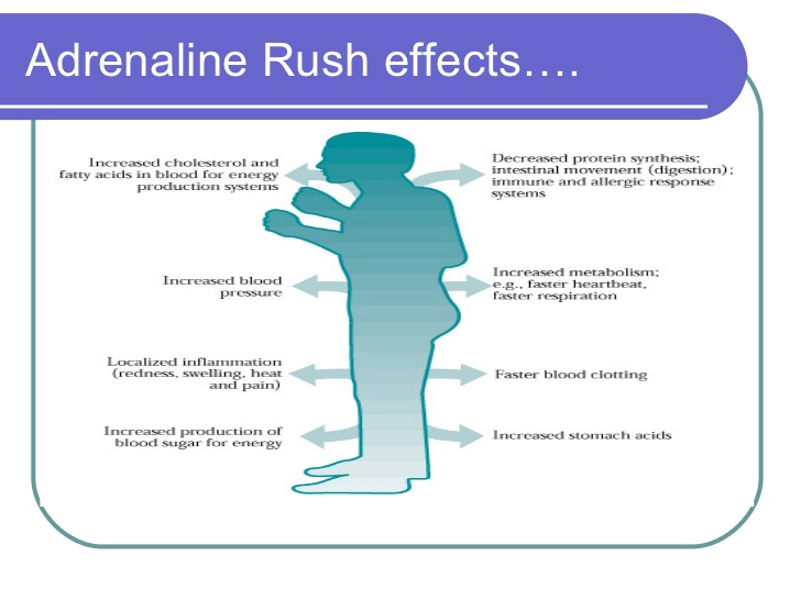 All things HUMAN...Anatomy and Physiology that is Supermom to the