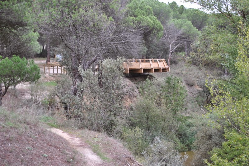 AMPA C.E.I.P. Teresa Íñigo de Toro noviembre 2014