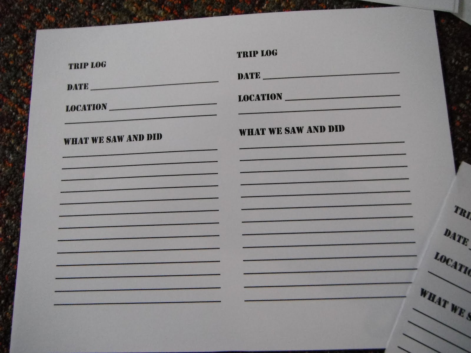 Fresh Air &amp; Fly Bites: Kids Adventure Journal