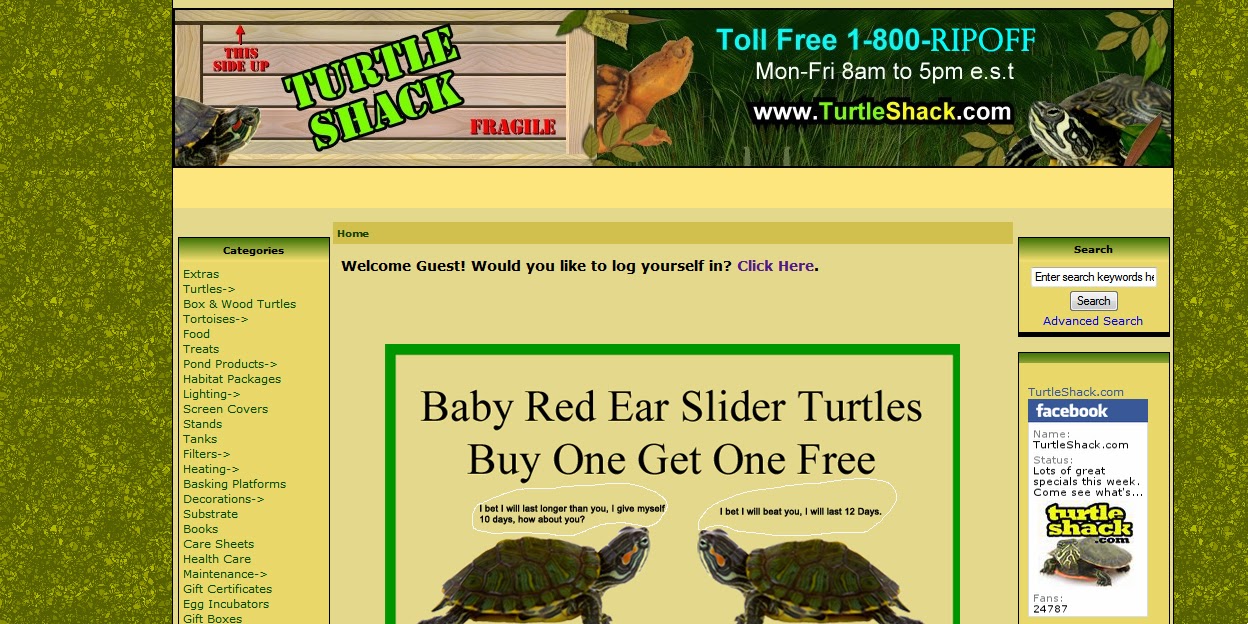 Buy Turtles Online Turtle Shack and Now............... (My Turtle Store) 1800RIPSCAM