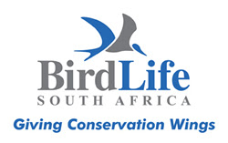 Science & Innovation Programme at BirdLife South Africa