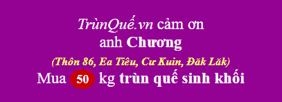 Trùn quế Thôn 86