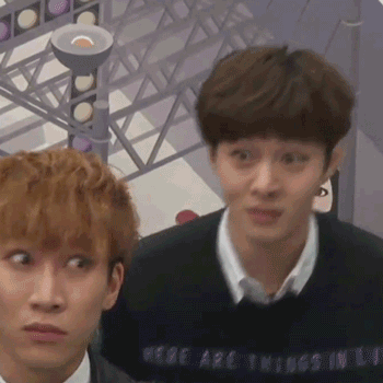 http://2.bp.blogspot.com/-eLFgilak6D8/VTaNs-bvOeI/AAAAAAAALKg/S-4tMOWFPgo/s1600/natepann-1618756020.gif