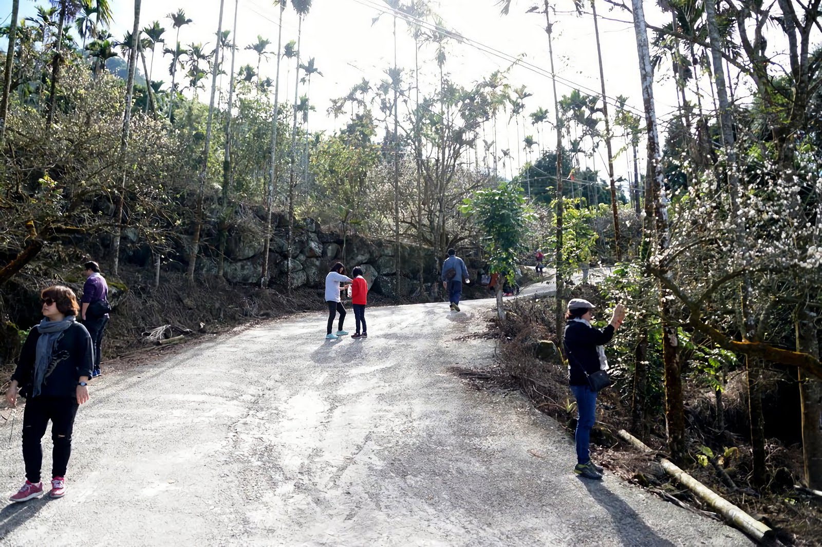 離開人群市區|台南親山步道懶人包|多接近大自然一起強身健體|特輯