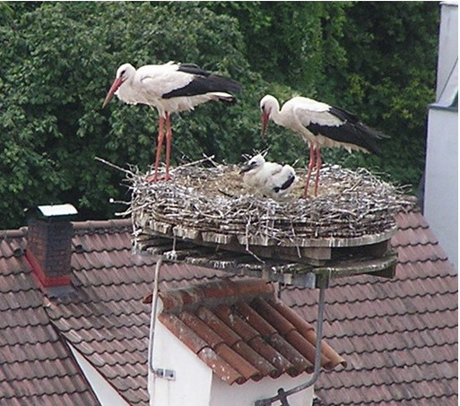 Aulendorf, Baden-Württemberg, Németország időjárása