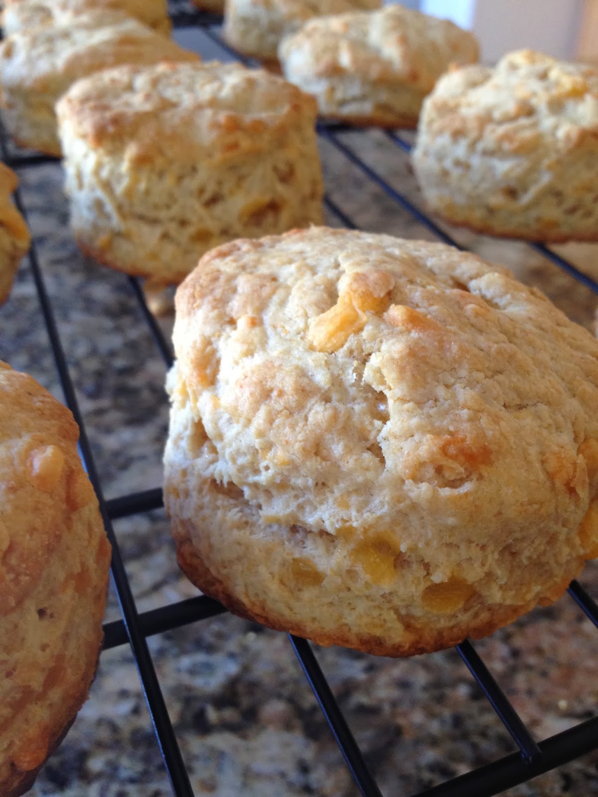 Sea Jay's Cupcakes WholeWheat Garlic Cheddar Biscuits
