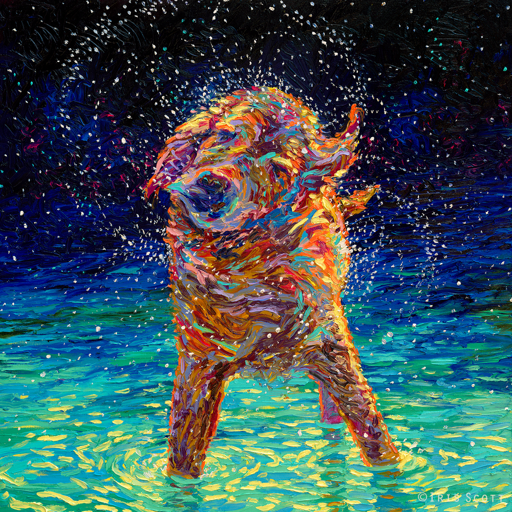 Thibaut Bachelier Iris Scott