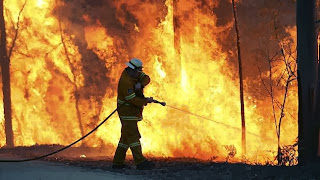 In defence of Tony from the Davidson Rural Fire Brigade