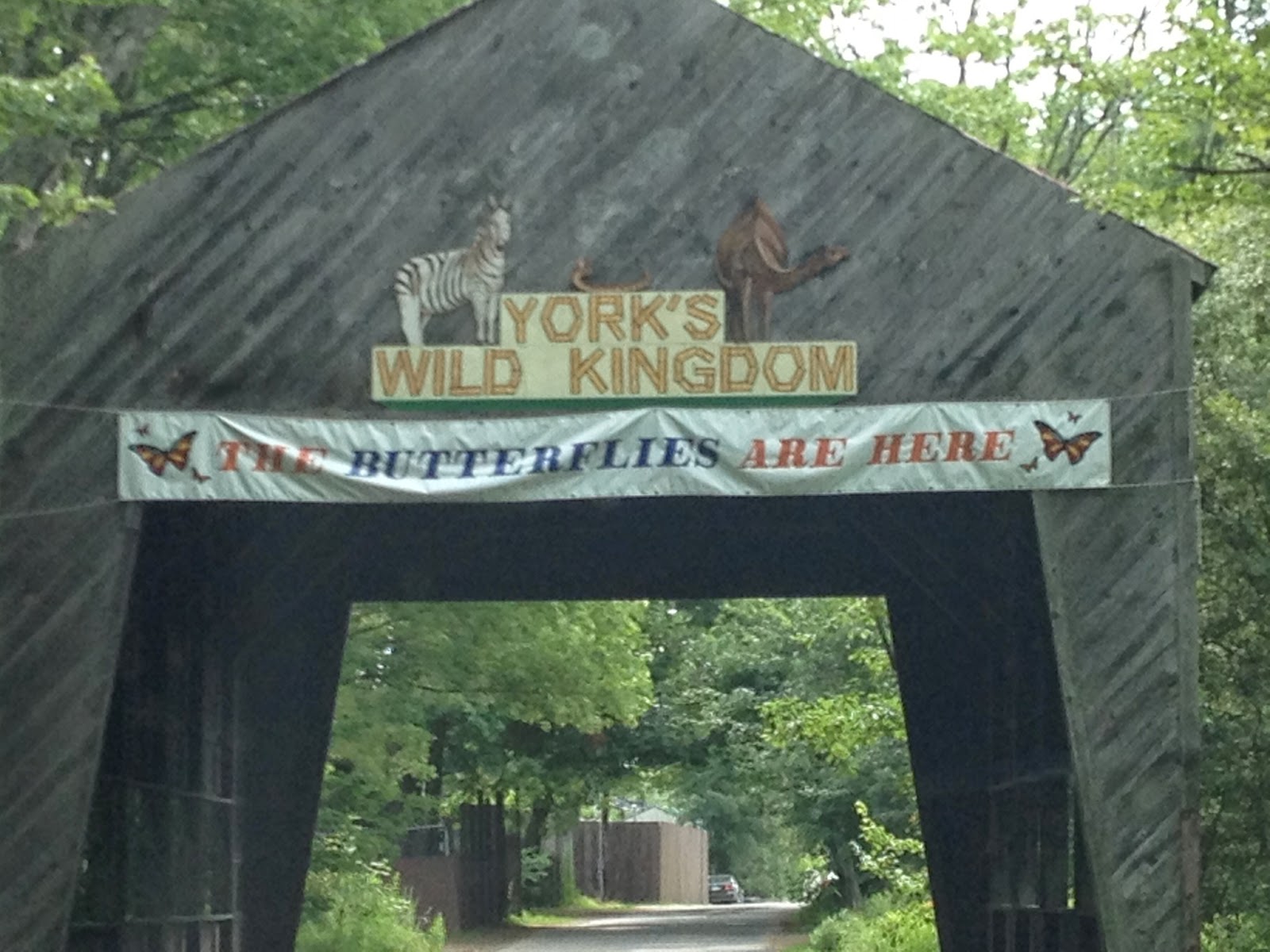 Take Time for Today York's Wild Kingdom