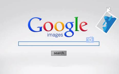 google search with image google search with image