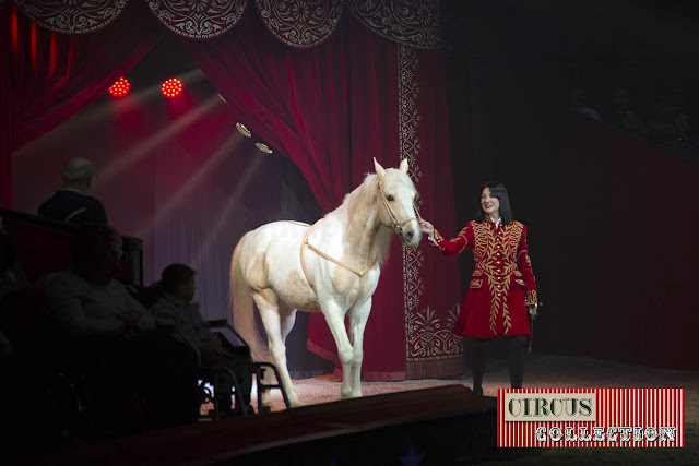 Spectacle chevaux Mary-José Knie