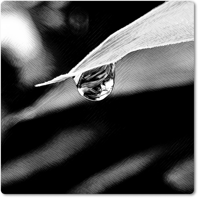 My Image 48