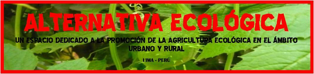 ALTERNATIVA ECOLÓGICA