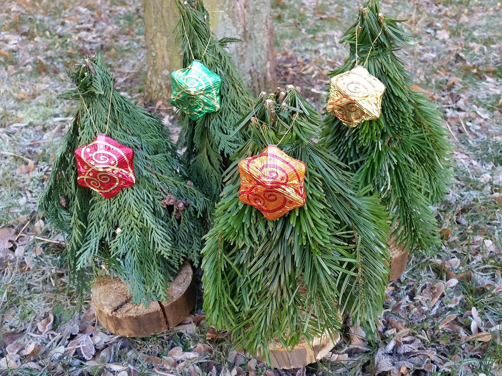 Barfuss Im Gras Dezember 2016