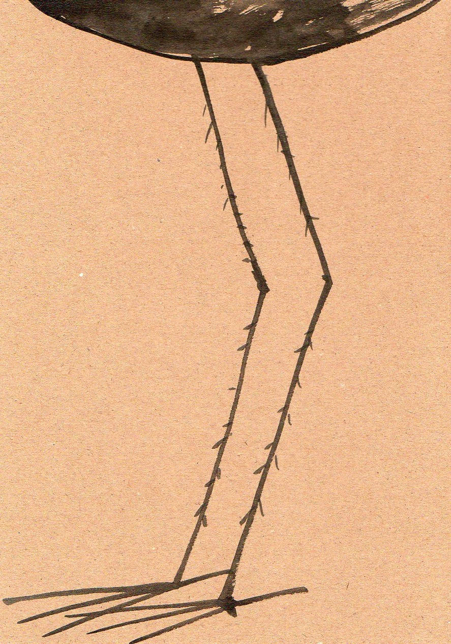 Thingslandia Drawing (birds legs)