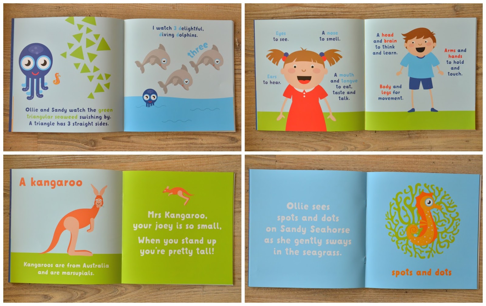 Bridge to Learn Educational Resources Product Review - Teacher Types