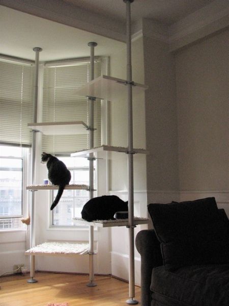VIDEOS DE GATOS: Muebles para Gatos (12 fotos)