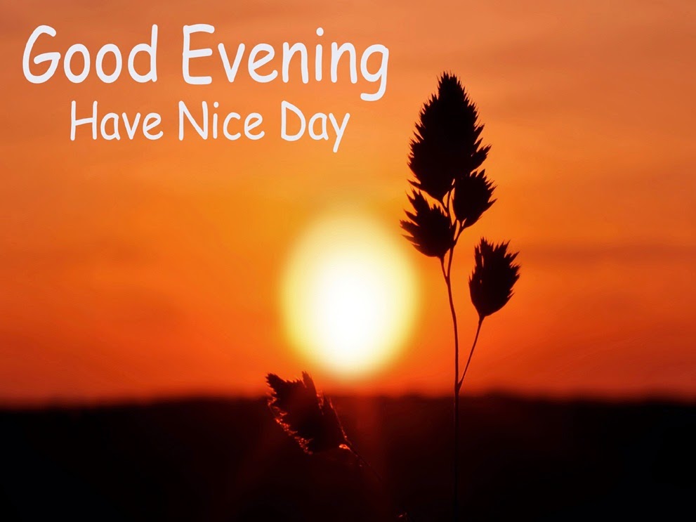 Good Evening Images with HD Wallpaper ~ Latest images Free Download