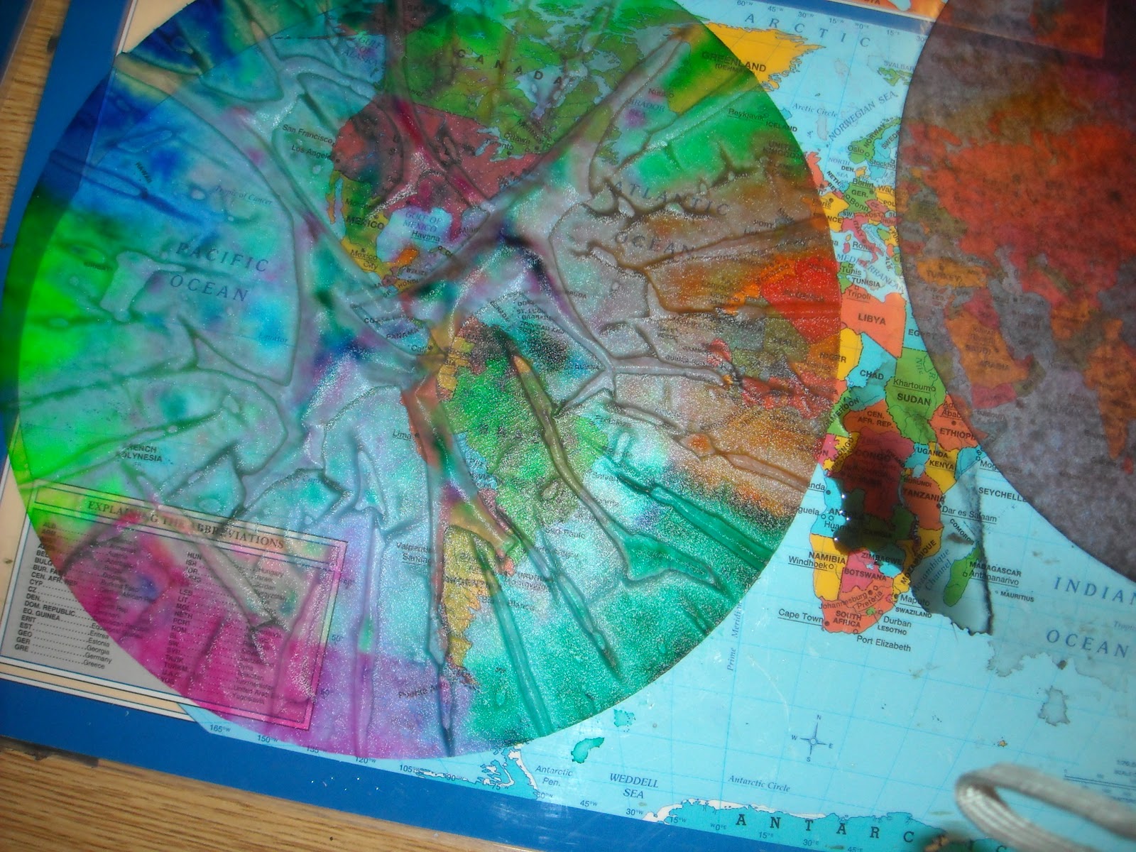 School Happenings Coffee Filter Fish