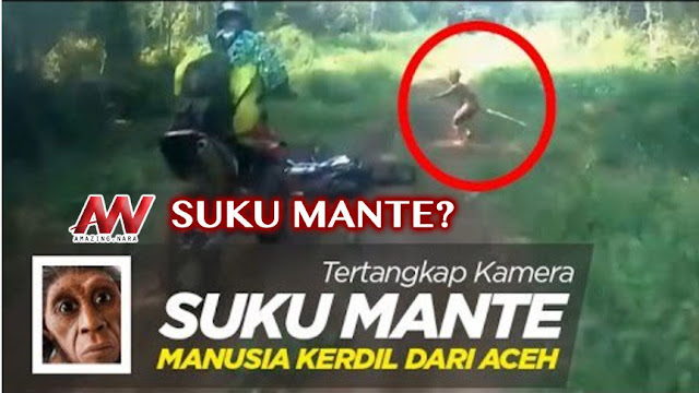Makhluk Kerdil Misterius Diduga Suku Mante Ramai Dibicarakan Netizen