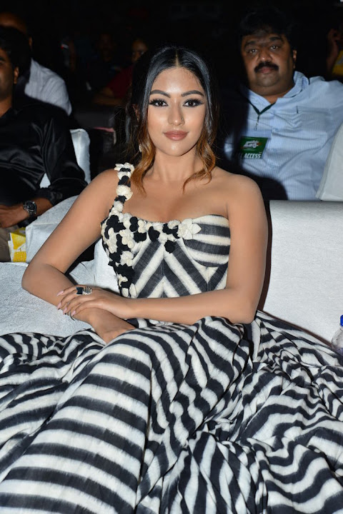 Anu Emmanuel at Naa Peru Surya Naa Illu India Pre Release Event
