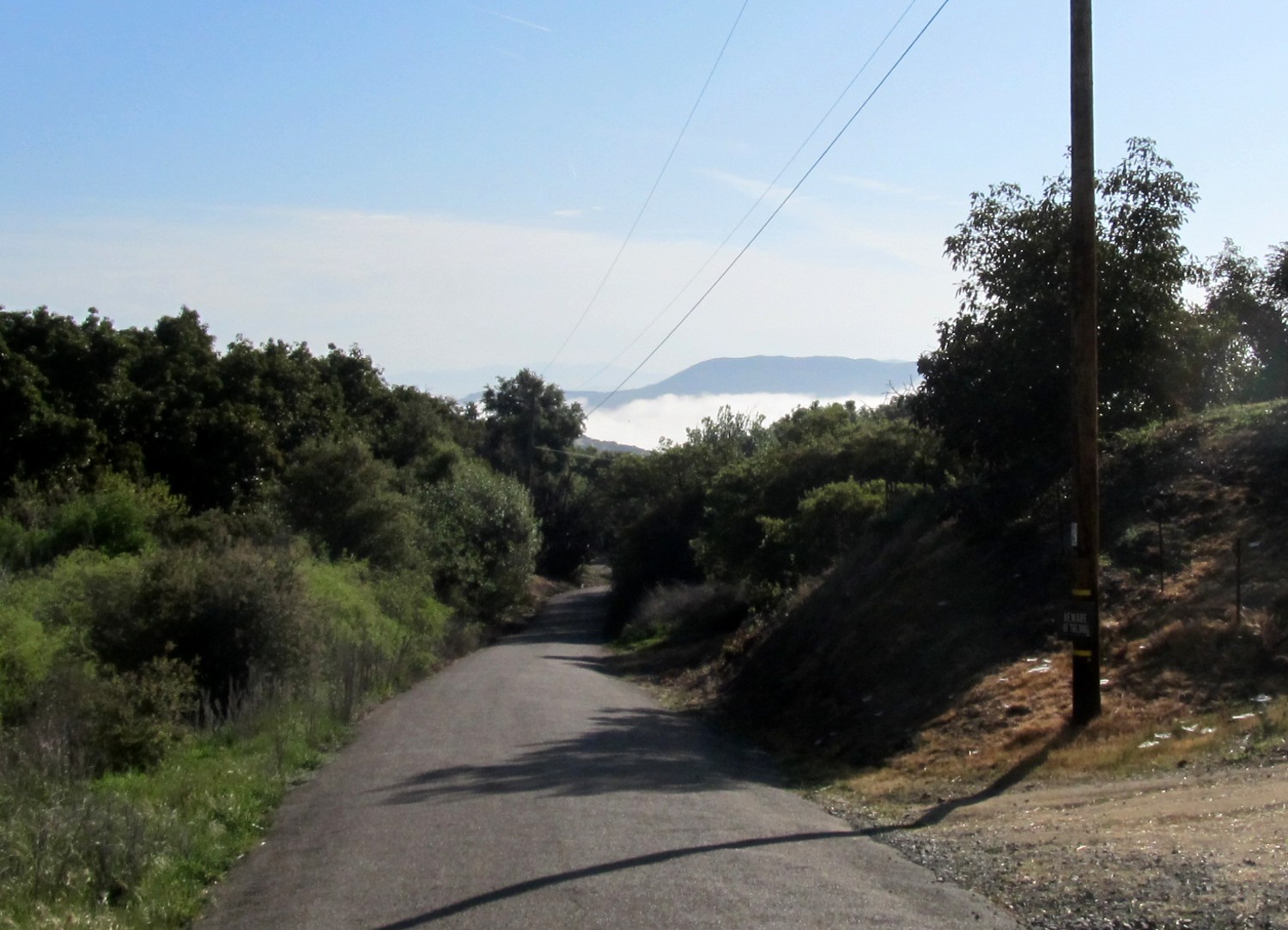 A ride through the enchanted forest of Fallbrook, De Luz