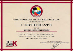 The World Karate Federation certificate official supporter of the campaign karate 2020.
