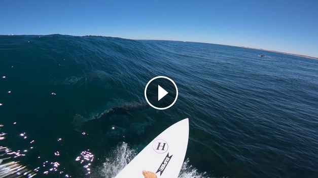 GoPro Awards Surfing with Dolphins