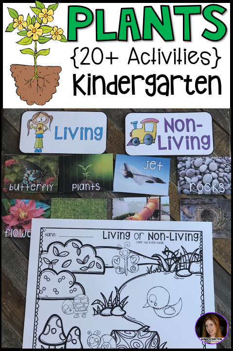 Plant Activities, Writing Crafts, Science Lessons and Centers for
