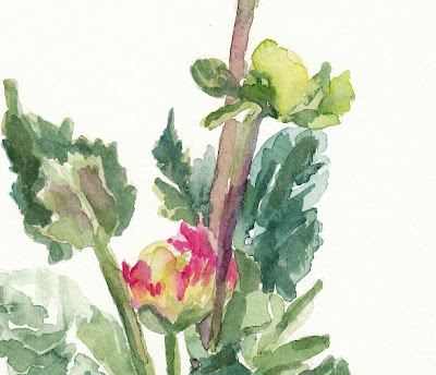 flower buds watercolor painting