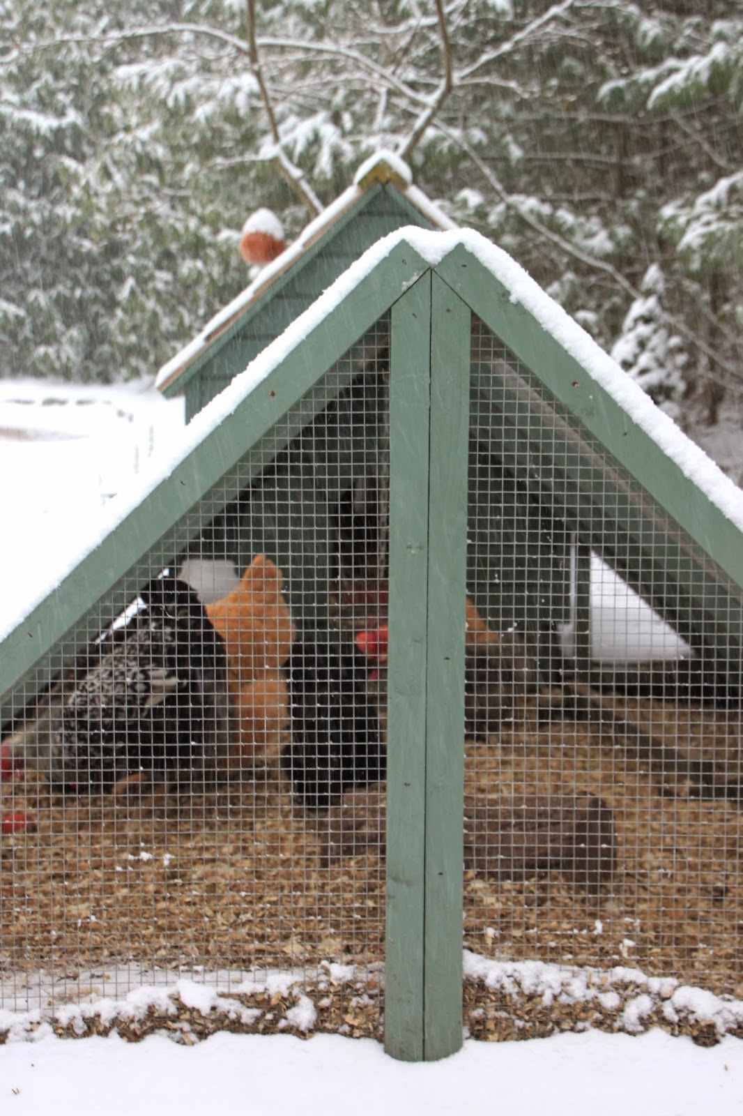 14 Thoughts on Heating the Chicken Coop in Winter