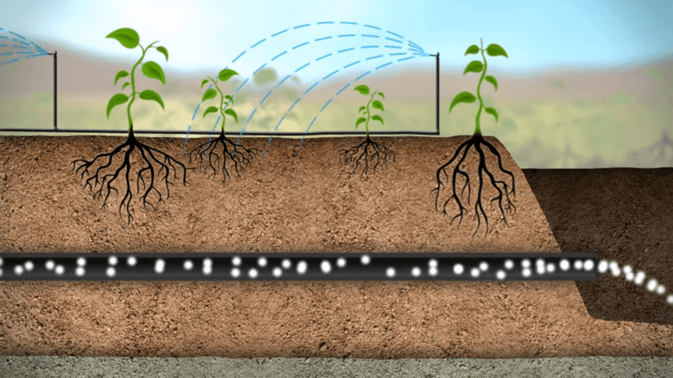 DRENAJES AGRÍCOLAS PARA EXCESO DE AGUA EN CULTIVOS │VÍDEO