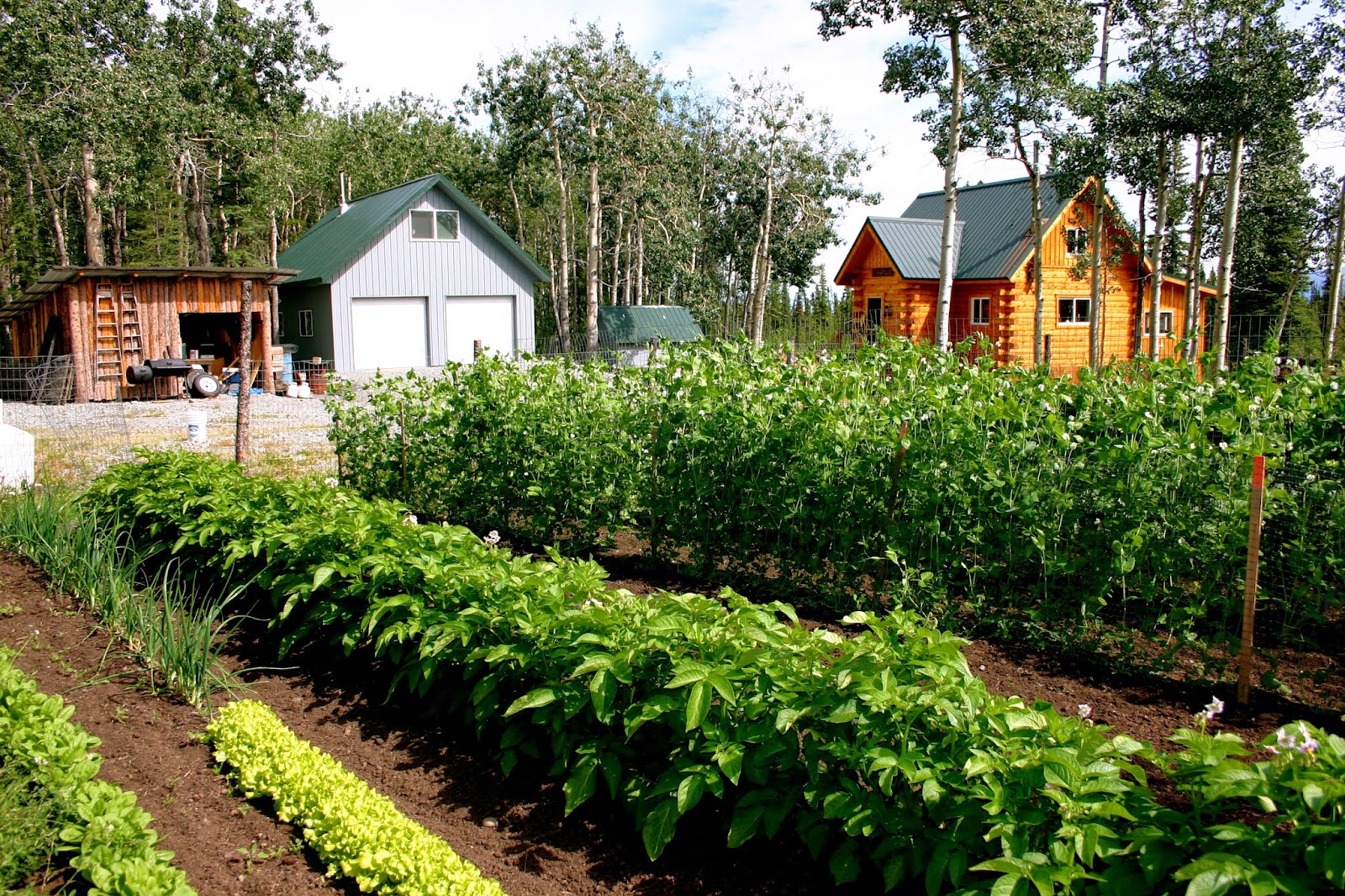 Great Gardens In Alaska Require Great Gardeners, And Warm Summers