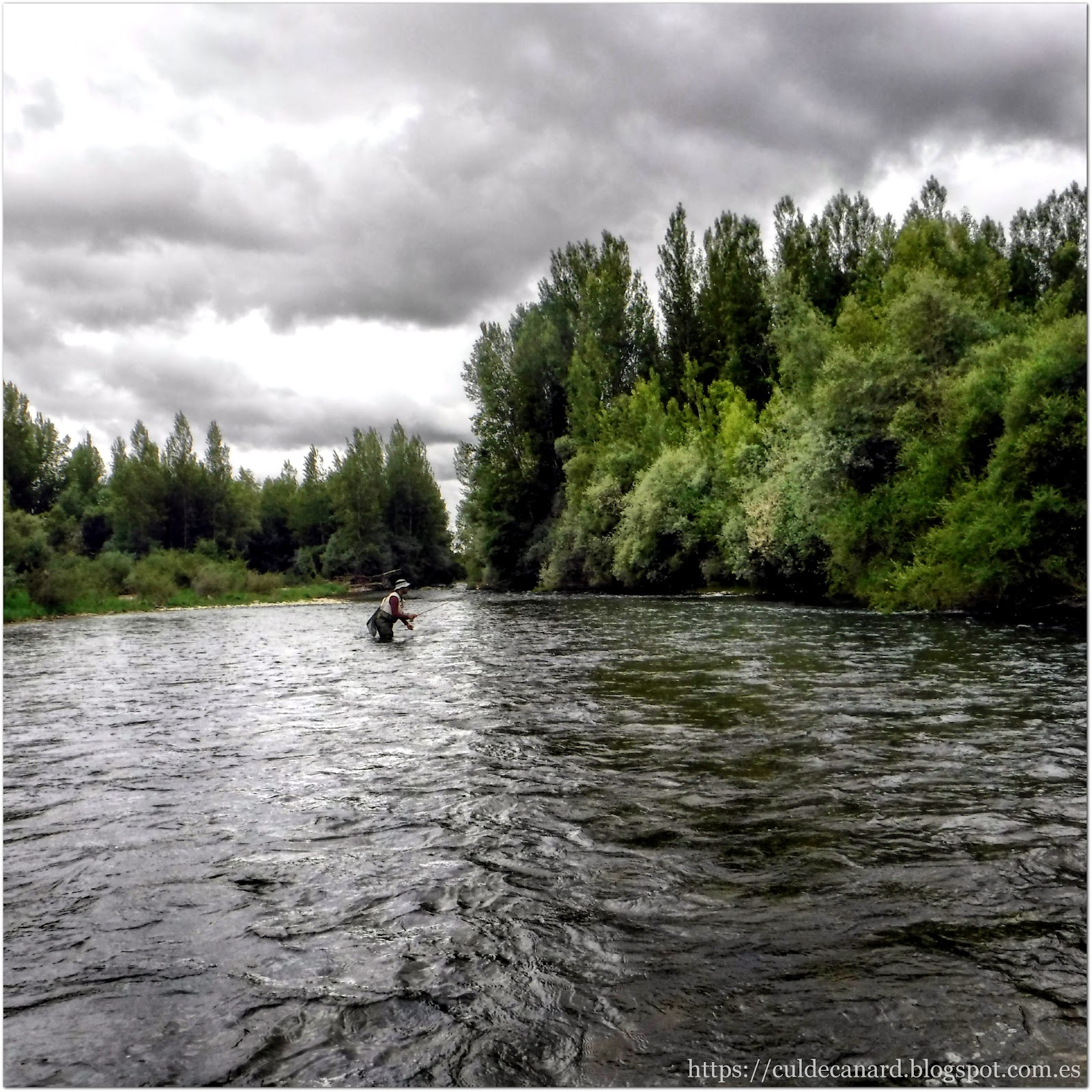 Río grande, truchas pequeñas