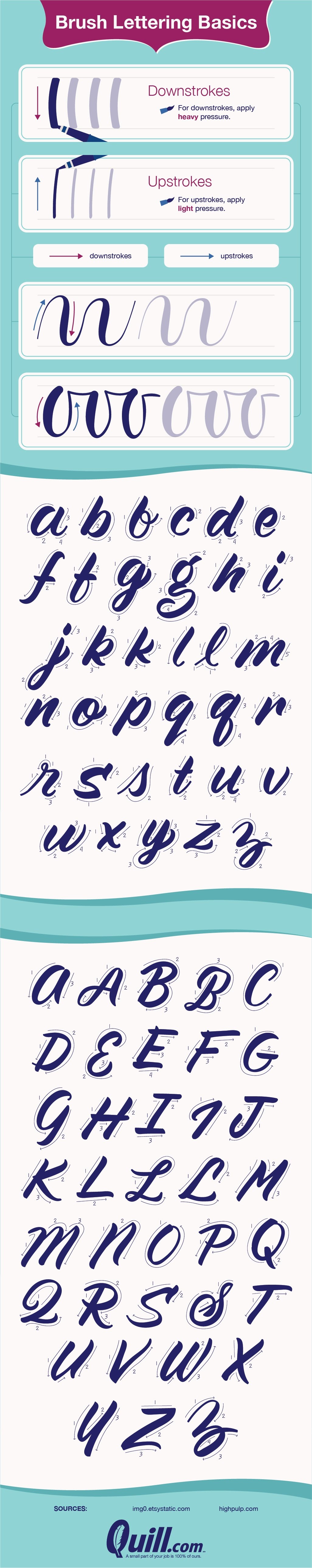 Brush Lettering Basics #infographic - Visualistan