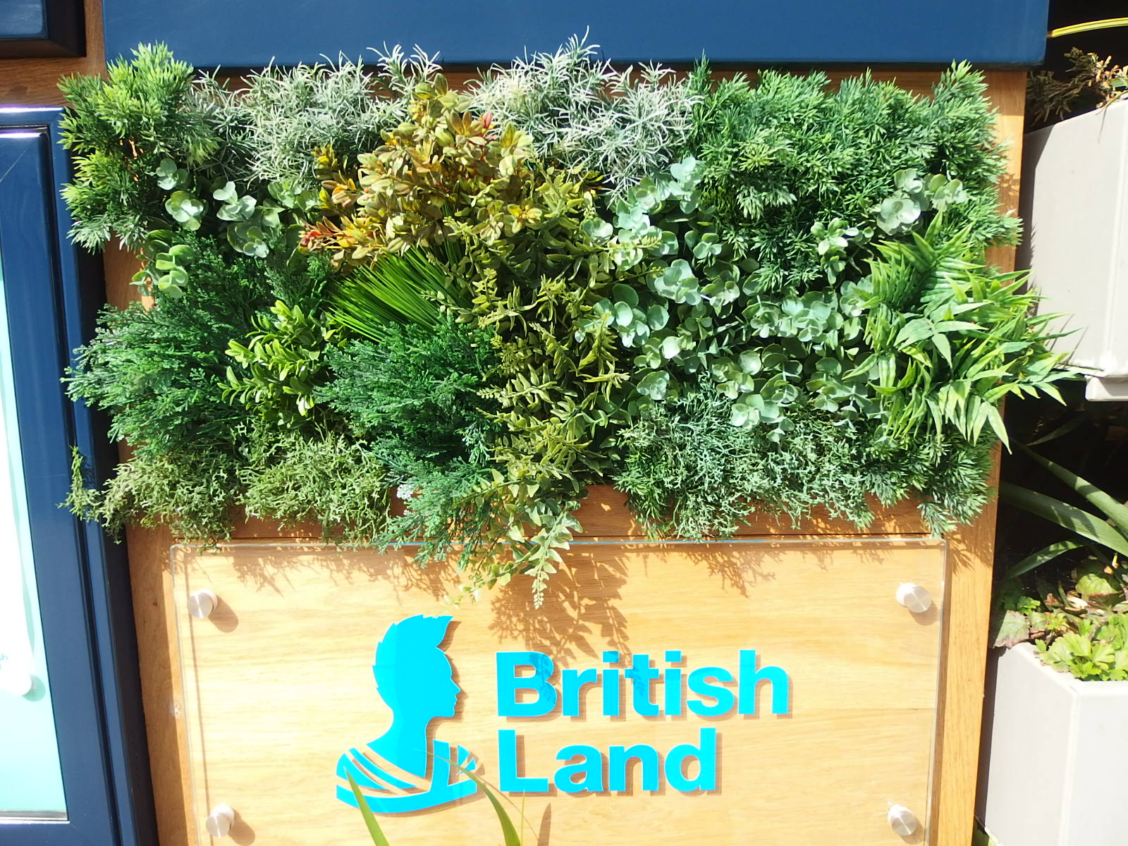 The Great Green Wall Hunt Unexpected items in the London area